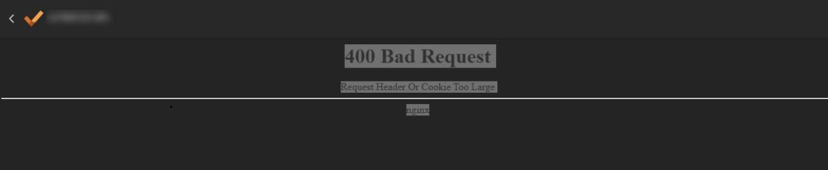 Web page error message showing “400 Bad Request – Request Header Or Cookie Too Large,” returned by nginx, indicating the request failed because headers or cookies exceed allowed size.